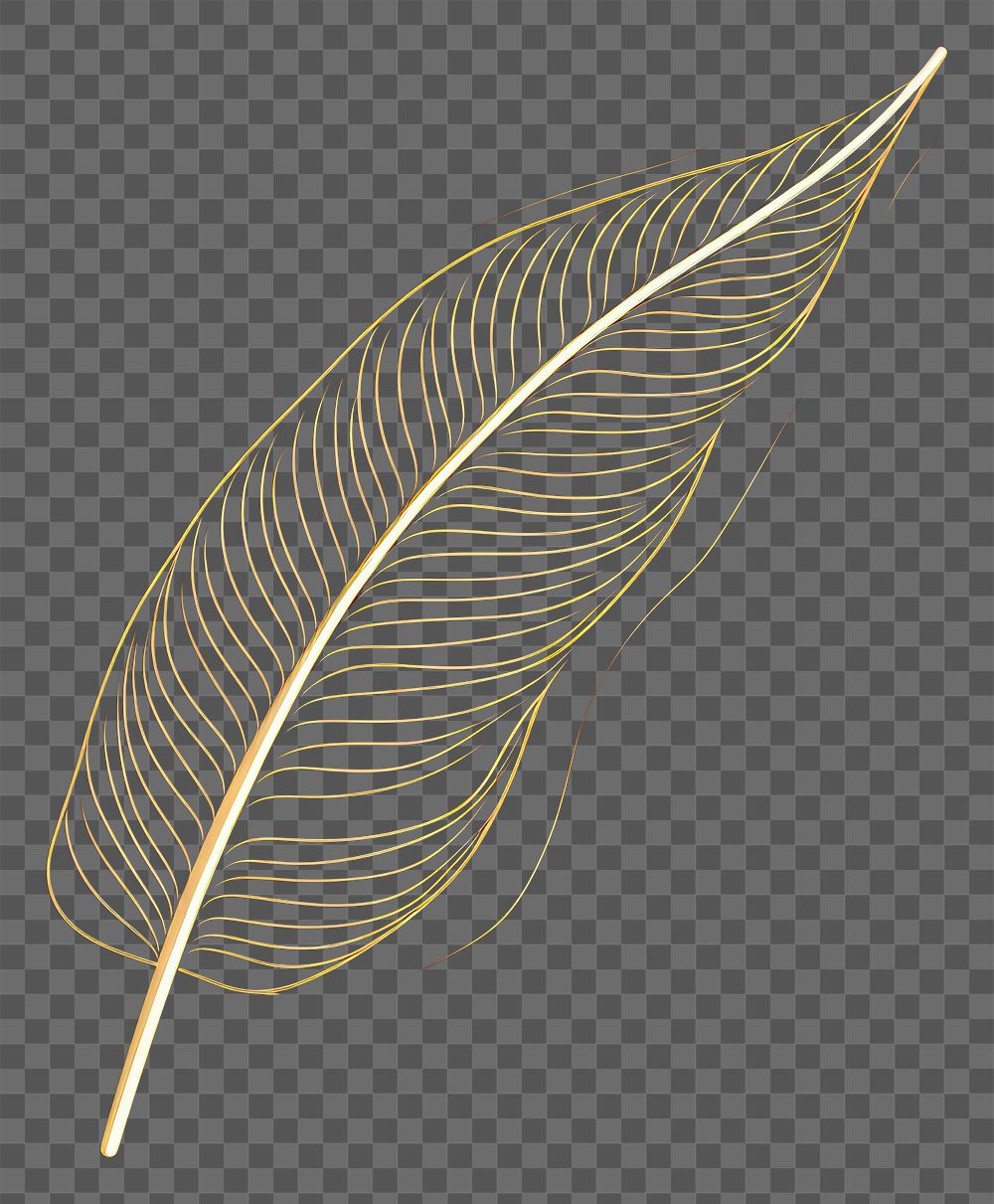 PNG Feather nature line leaf. AI generated Image by rawpixel.