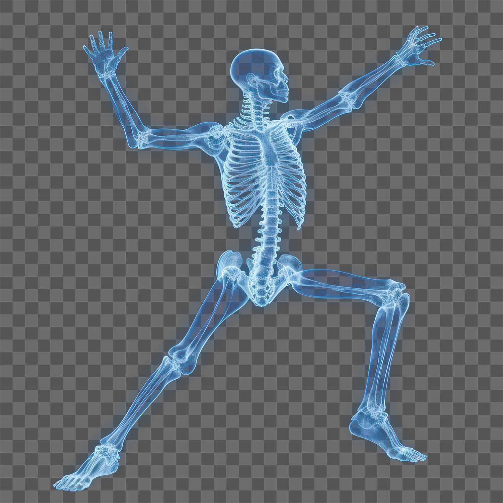 PNG Yoga x-ray fracture vitality. AI generated Image by rawpixel.
