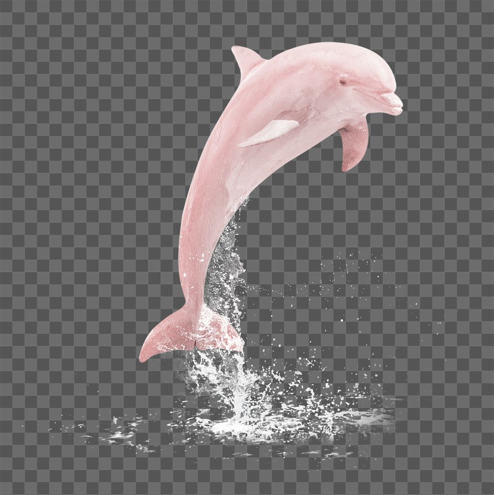 Pink dolphin png sticker, sea animal on transparent background