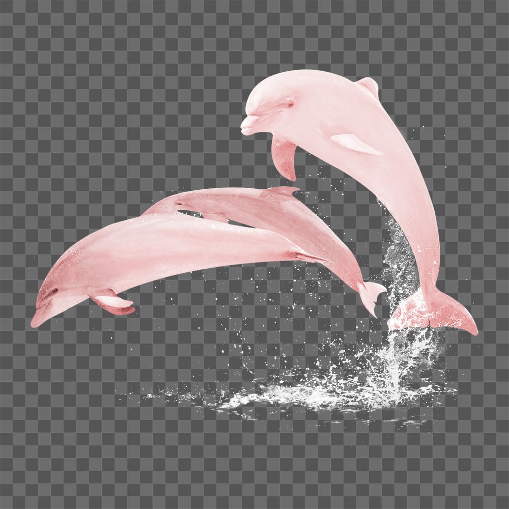 Pink dolphins png sticker, sea animal on transparent background