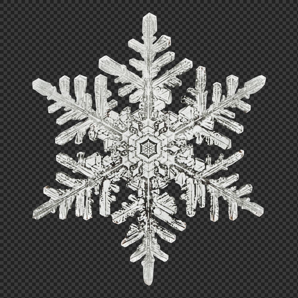 Winter snowflake Christmas ornament png macro photography, remix of photography by Wilson Bentley