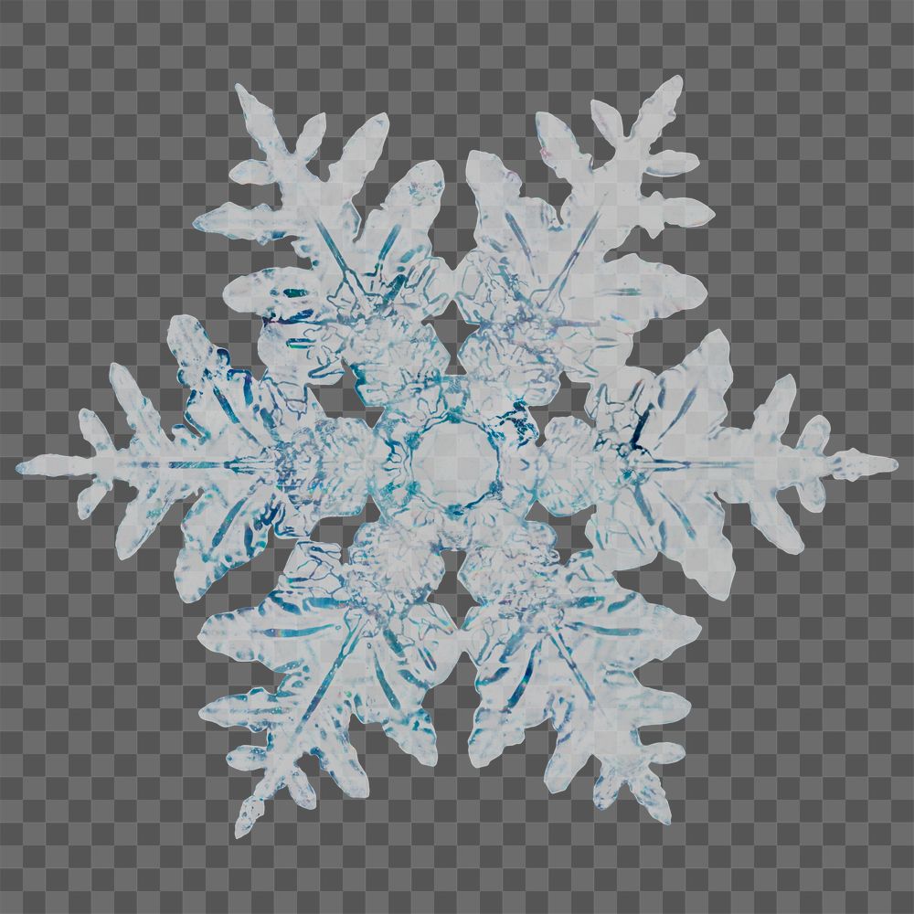 Winter snowflake transparent Christmas ornament macro photography, remix of photography by Wilson Bentley