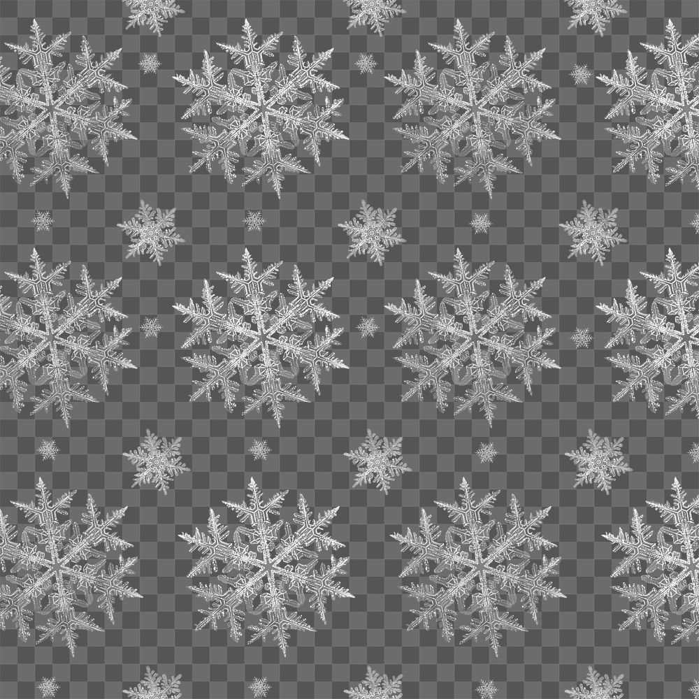 Season&rsquo;s greetings png snowflake pattern background, remix of photography by Wilson Bentley