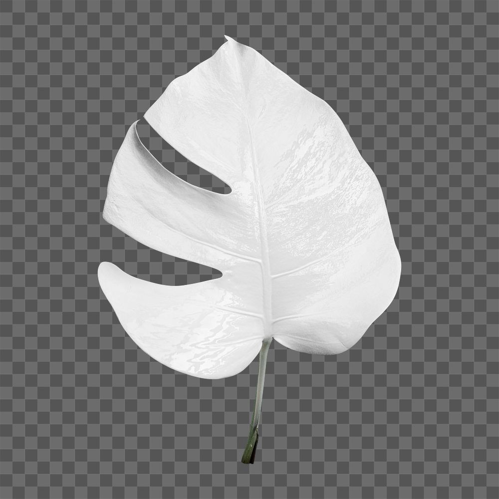 Monstera leaf painted in white design element