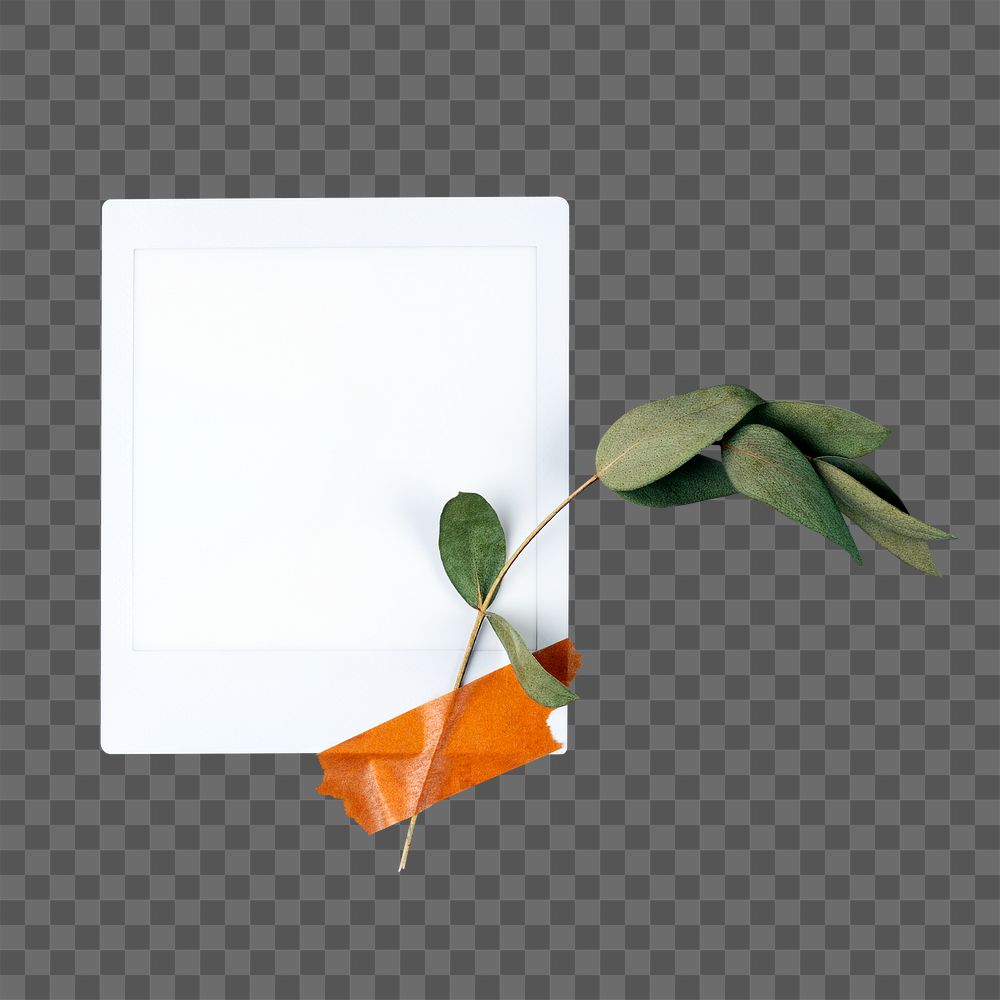 Instant photo png frame, leaf design on transparent background