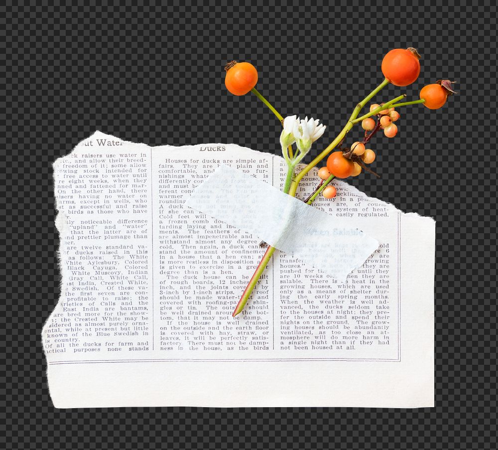 Yellow winterberry png, collage element