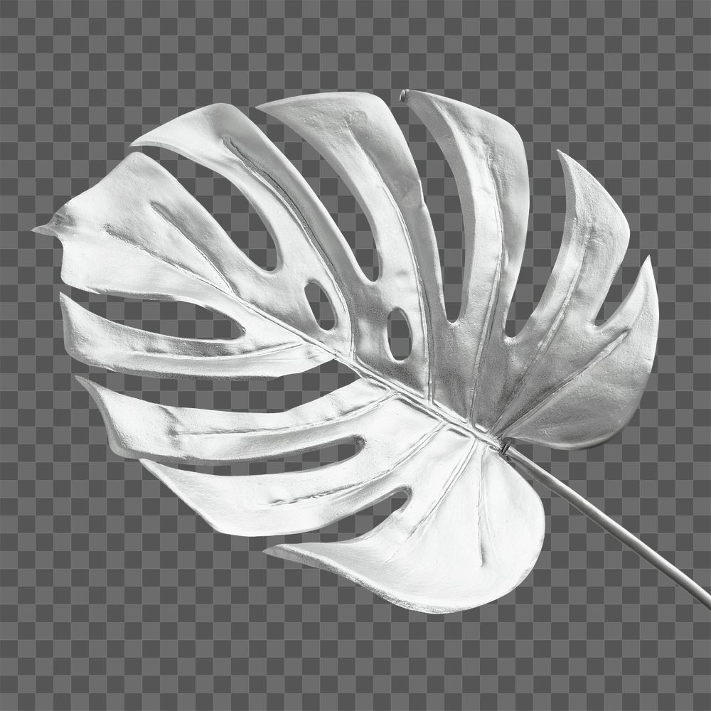 Monstera leaf painted in silver design element