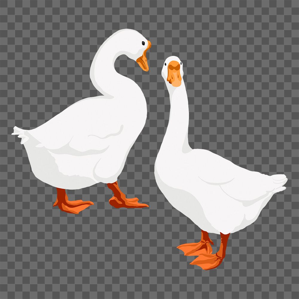 White geese, png sticker illustration, transparent background