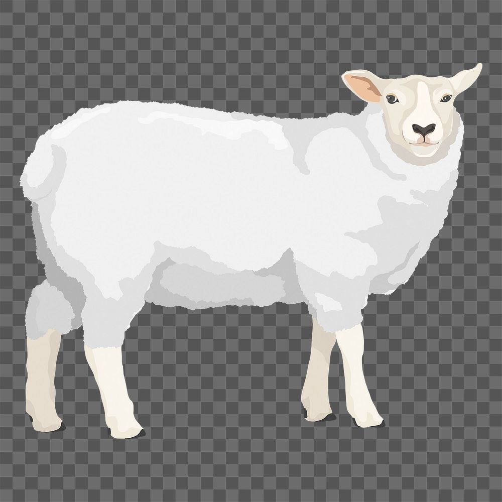 Sheep png illustration clipart, digital sticker, transparent background