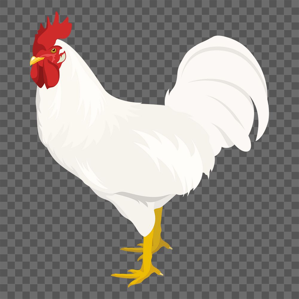 PNG white rooster sticker, male chicken illustration, transparent background