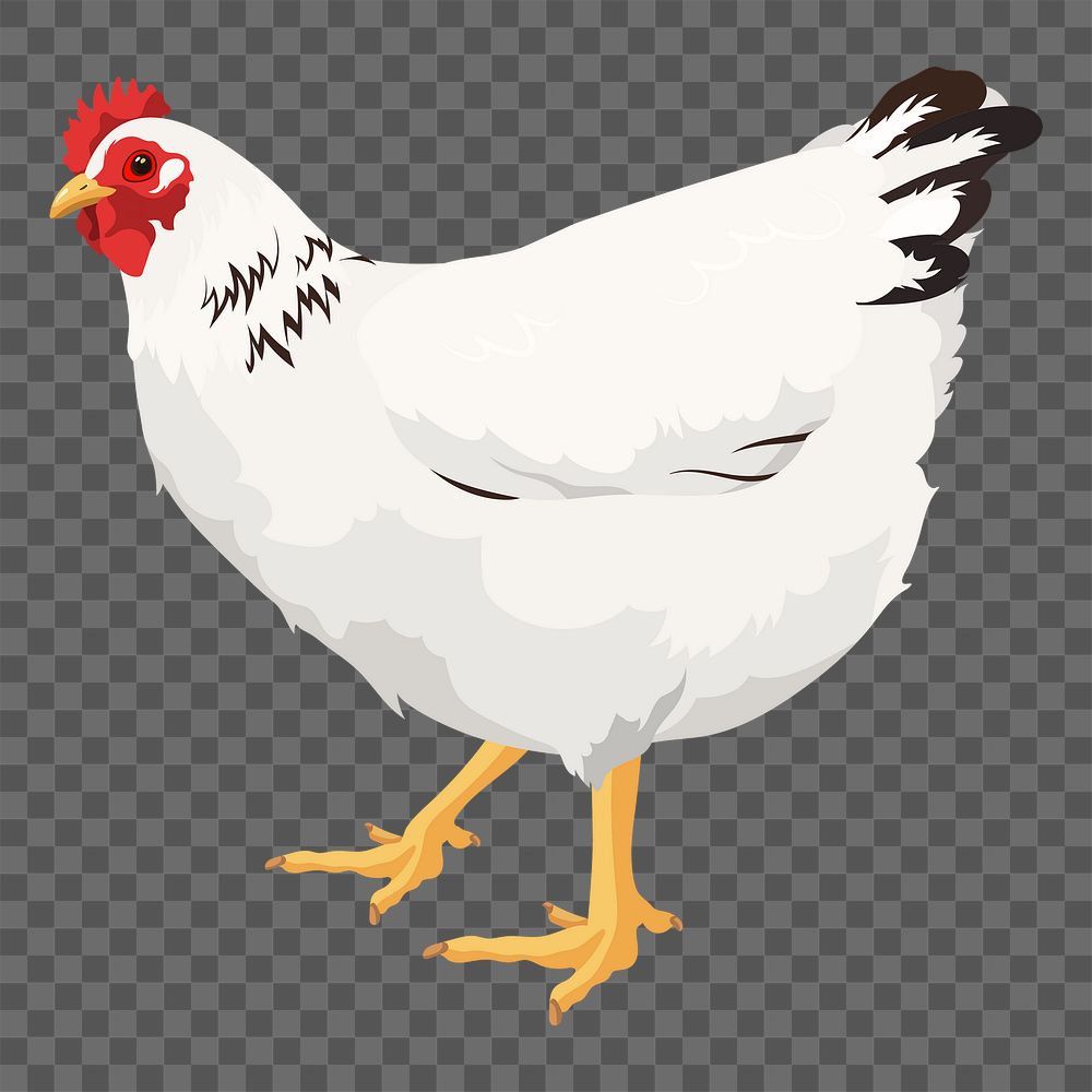 PNG chicken sticker, white hen illustration, transparent background