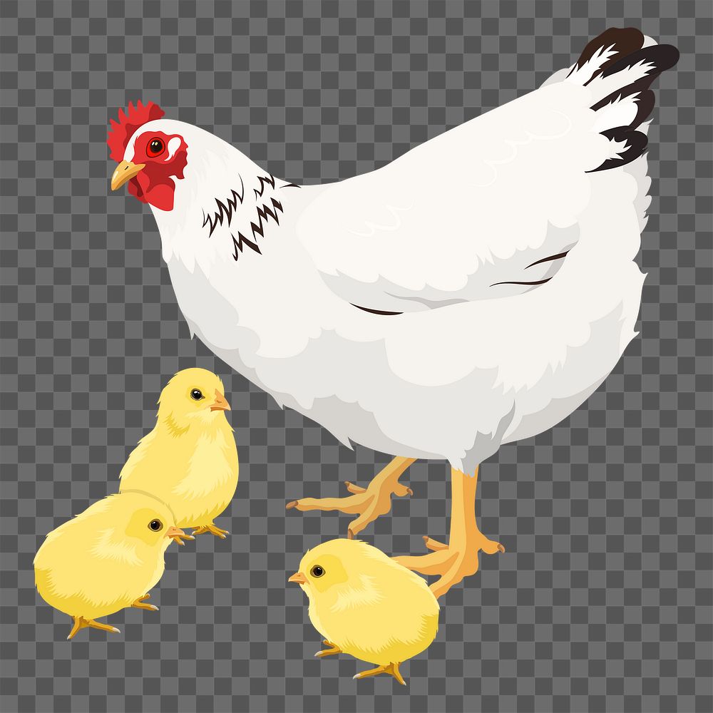 PNG mother hen and baby chicks illustration, sticker in transparent background