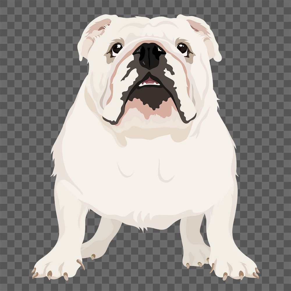 PNG English bulldog, dog illustration sticker, transparent background