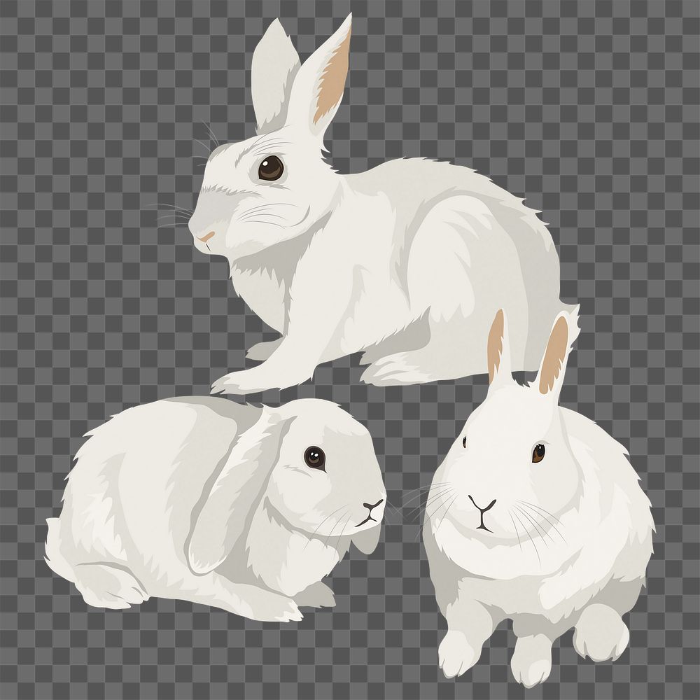 Three bunnies png sticker, pet animal illustration, transparent background