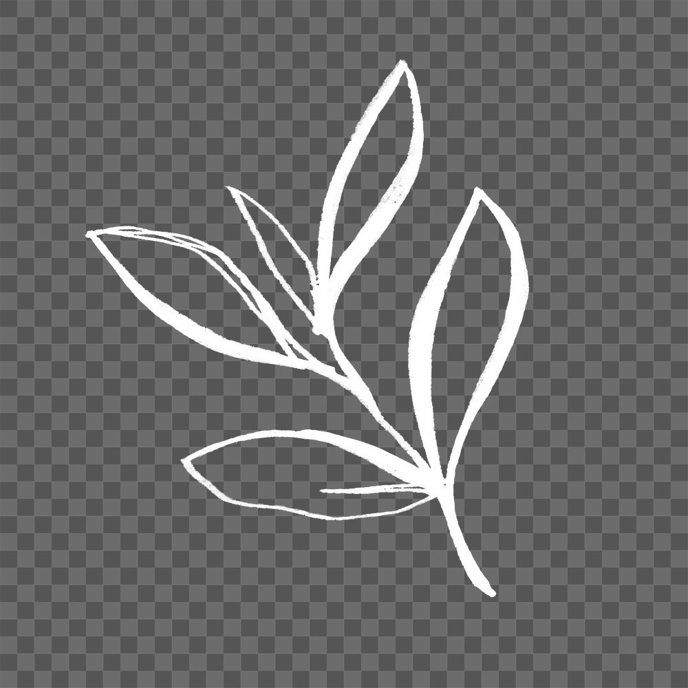 Leaf doodle png sticker, minimal  transparent background