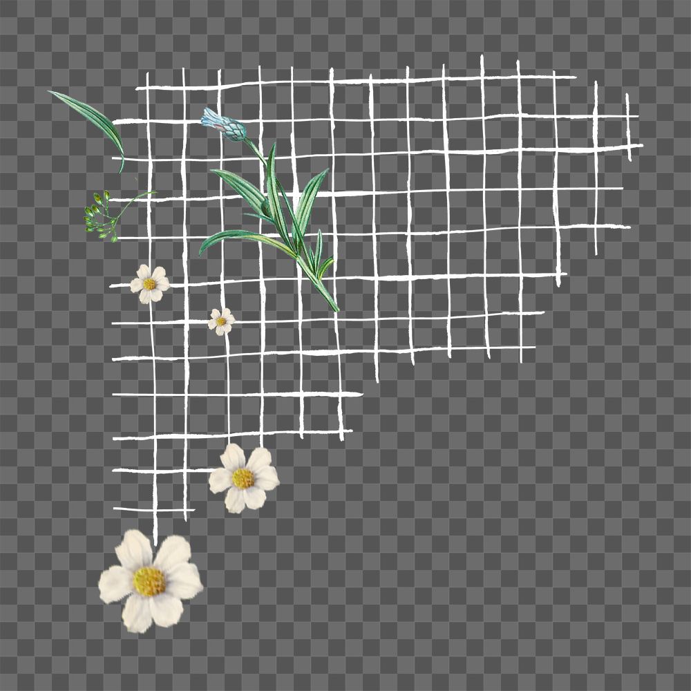 Grid border png sticker, botanical transparent background