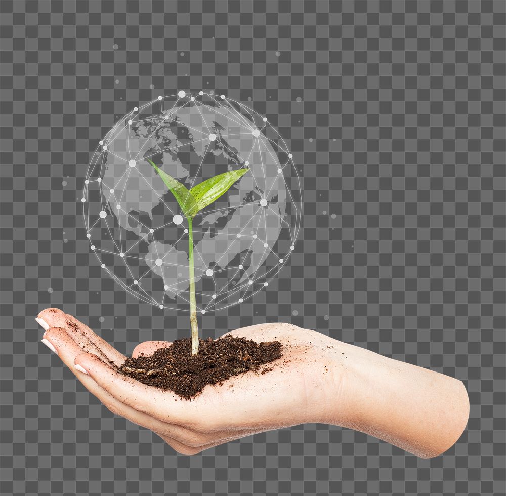 Farming technology png, hand holding plant, smart agriculture collage element, transparent background