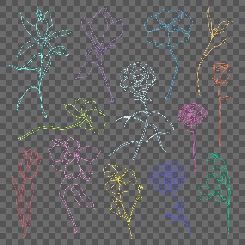 Png flower hand drawn set colorful single line art
