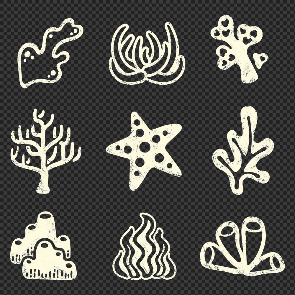 Underwater coral png sticker, marine life on transparent background set