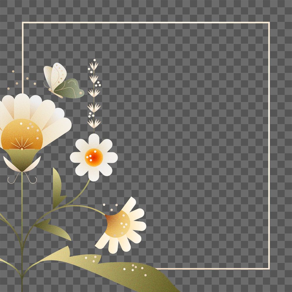 Png white flower frame transparent, colorful botanical sticker illustration