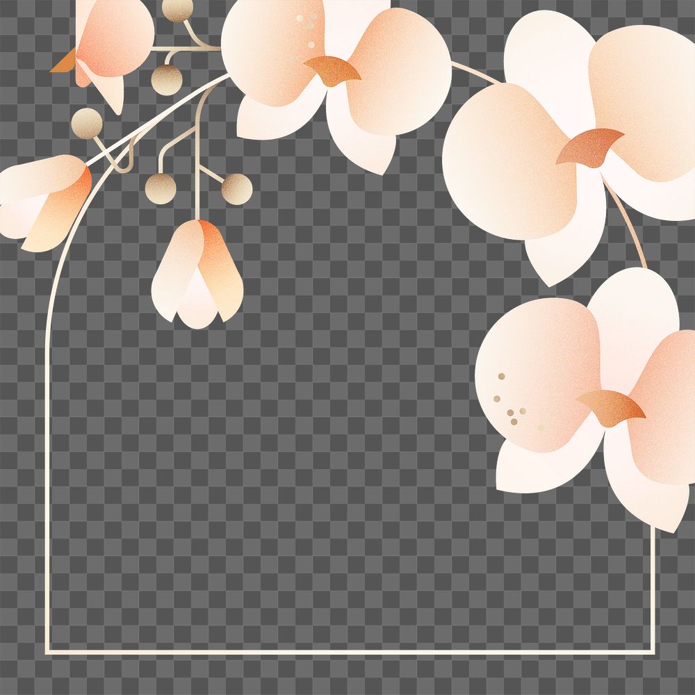 Pink orchids frame png, aesthetic botanical sticker design, transparent background