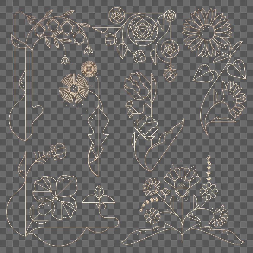 Png gold floral line art sticker set, botanical element, transparent background