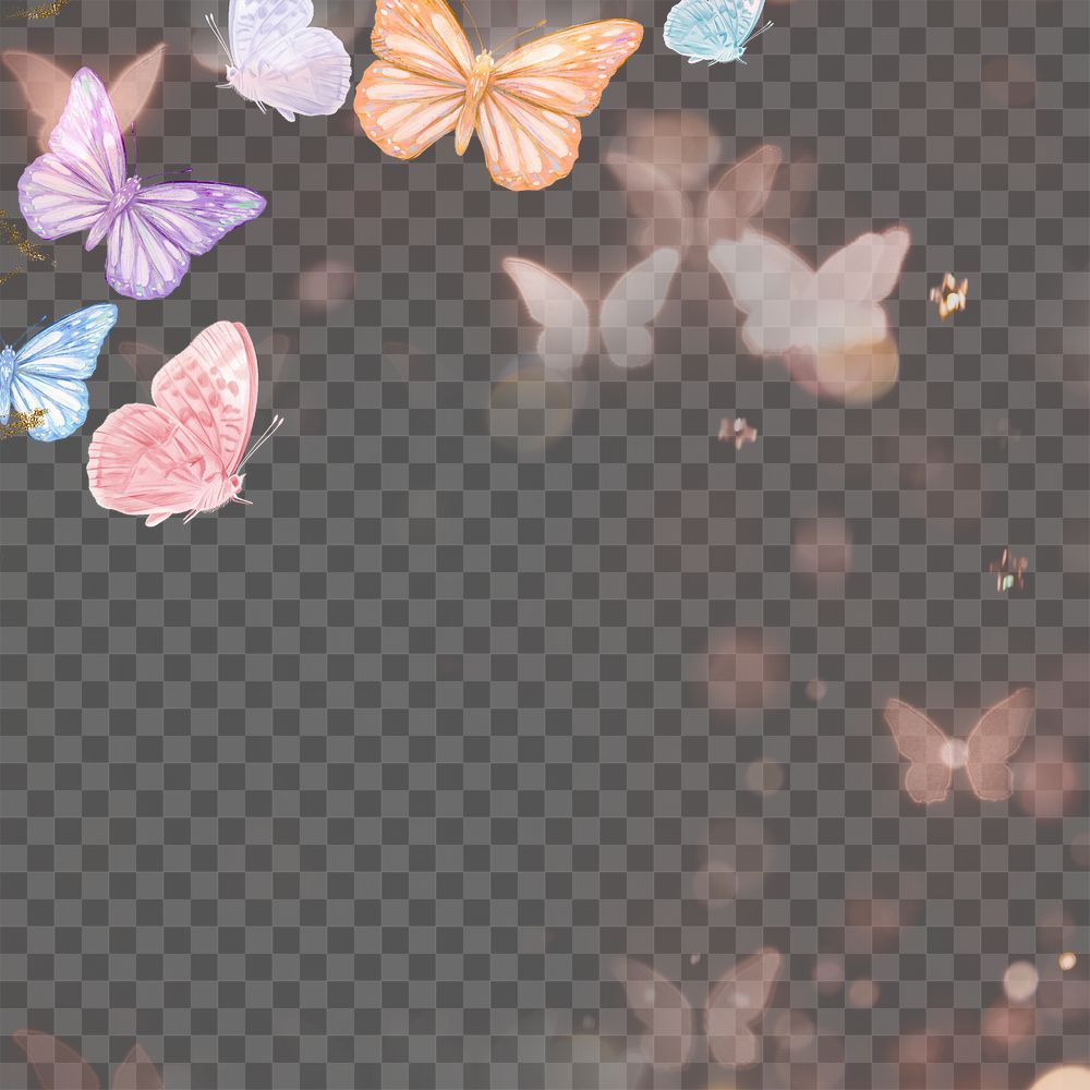 Colorful butterfly png border frame, transparent design 