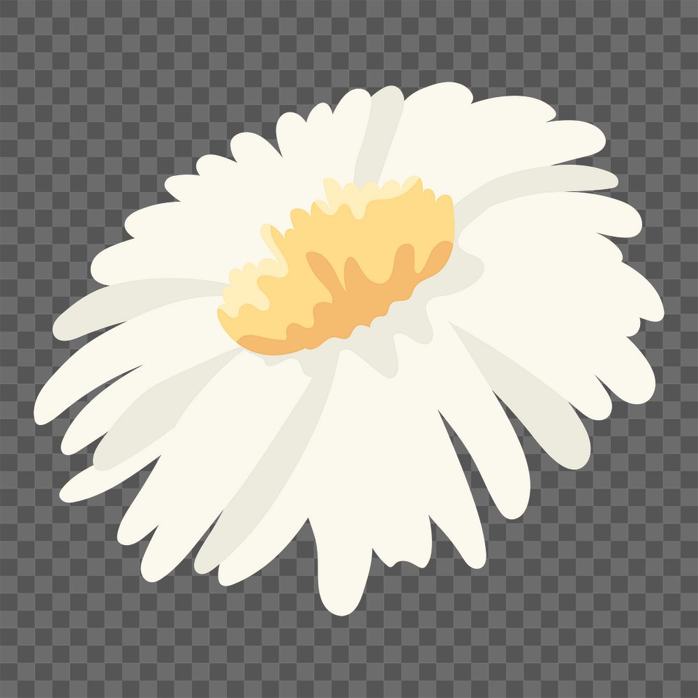 White flower png sticker, transparent background