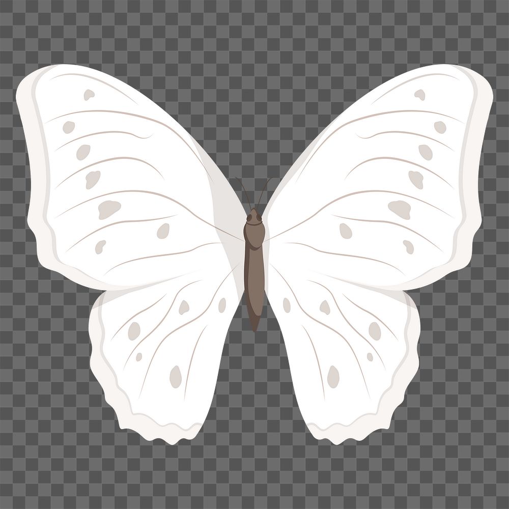 Butterfly png sticker, transparent background 