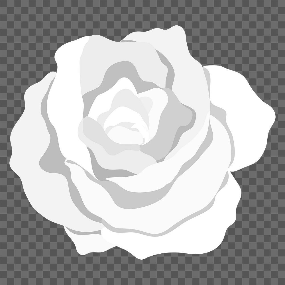 White rose png sticker, transparent background