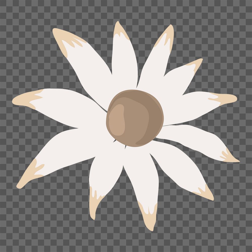 Flannel flower png sticker, transparent background