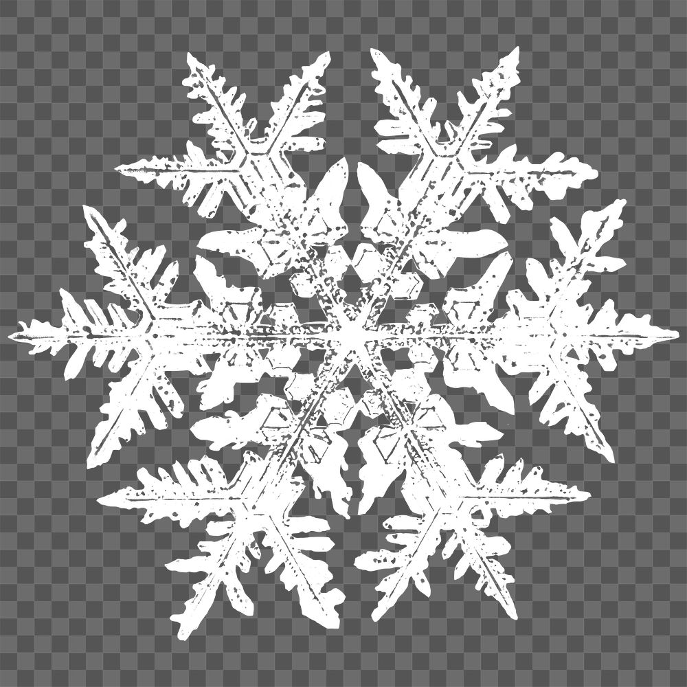 Png realistic snowflakes design element