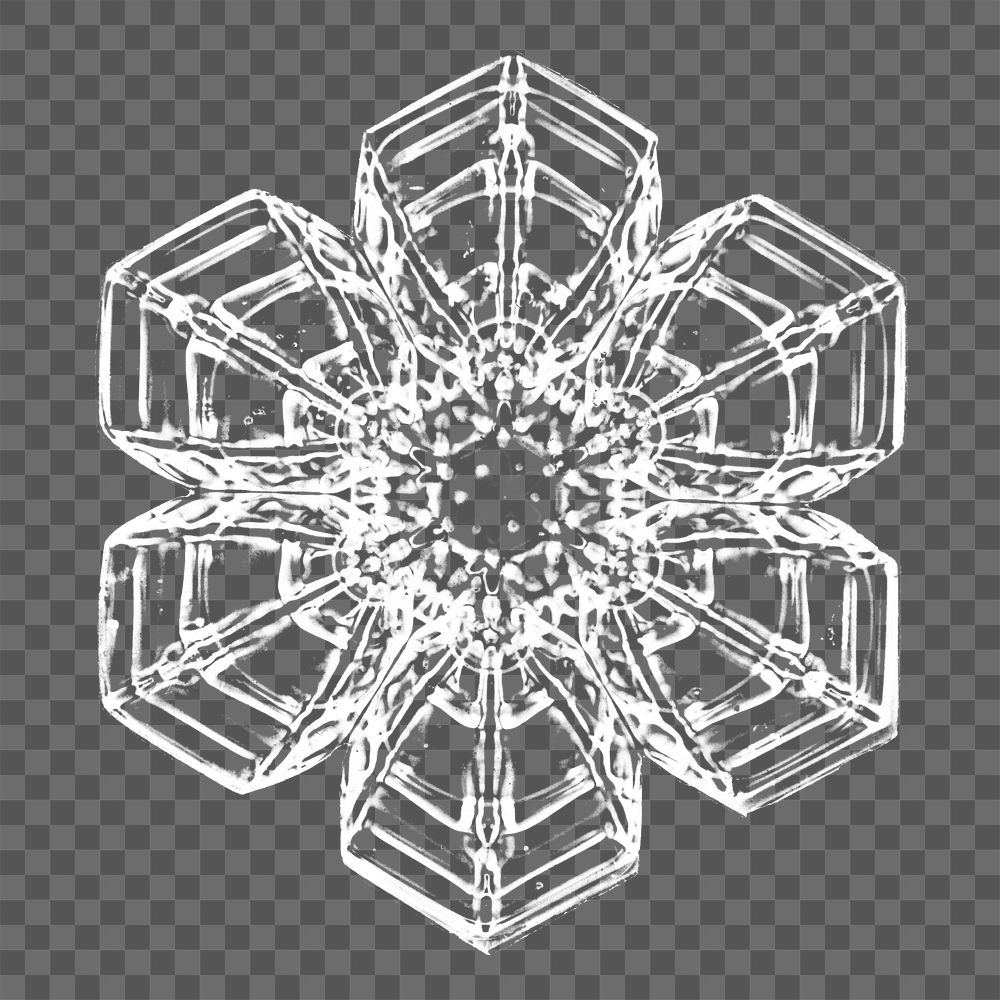 Png realistic snowflakes design element