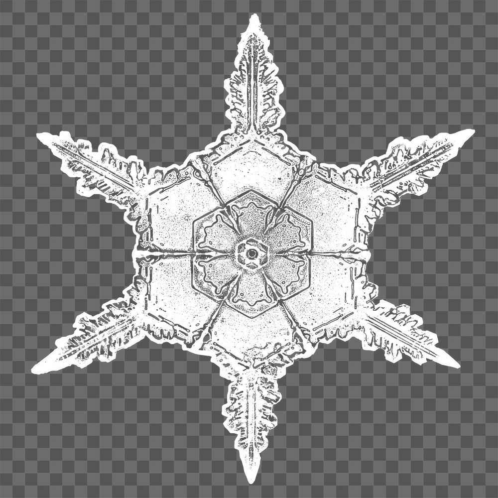 Png realistic snowflakes design element