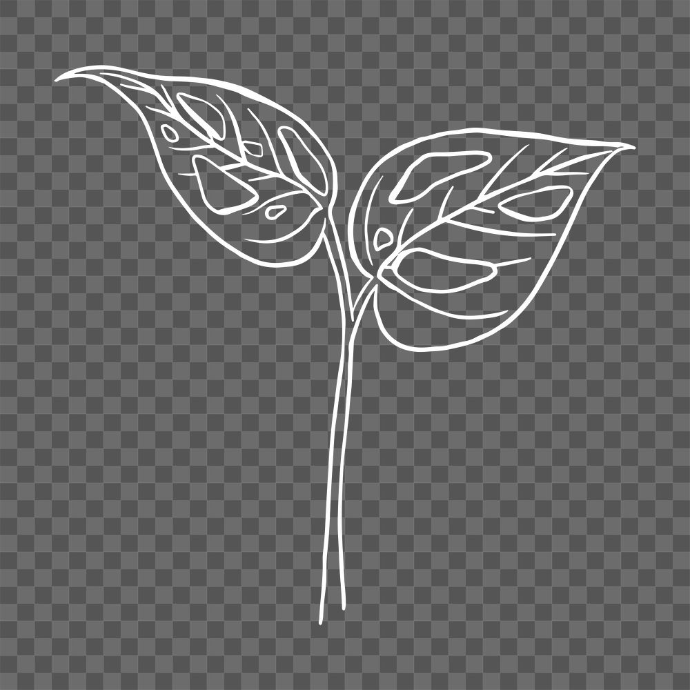 PNG monstera swiss cheese leaf sticker doodle botanical illustration
