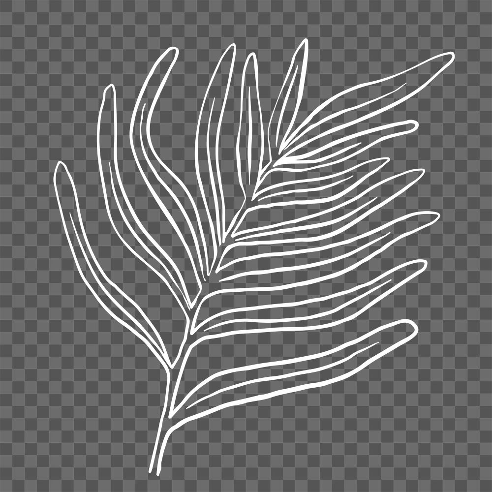 PNG gern leaf sticker doodle botanical illustration