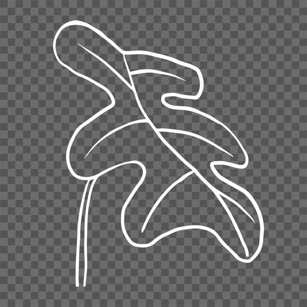 PNG xanadu monstera leaf sticker doodle botanical illustration