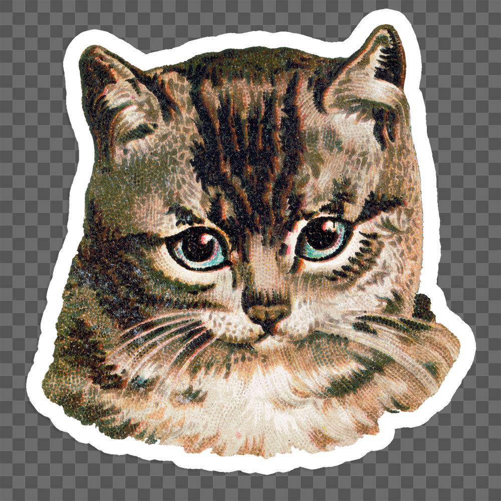 Cat head icon