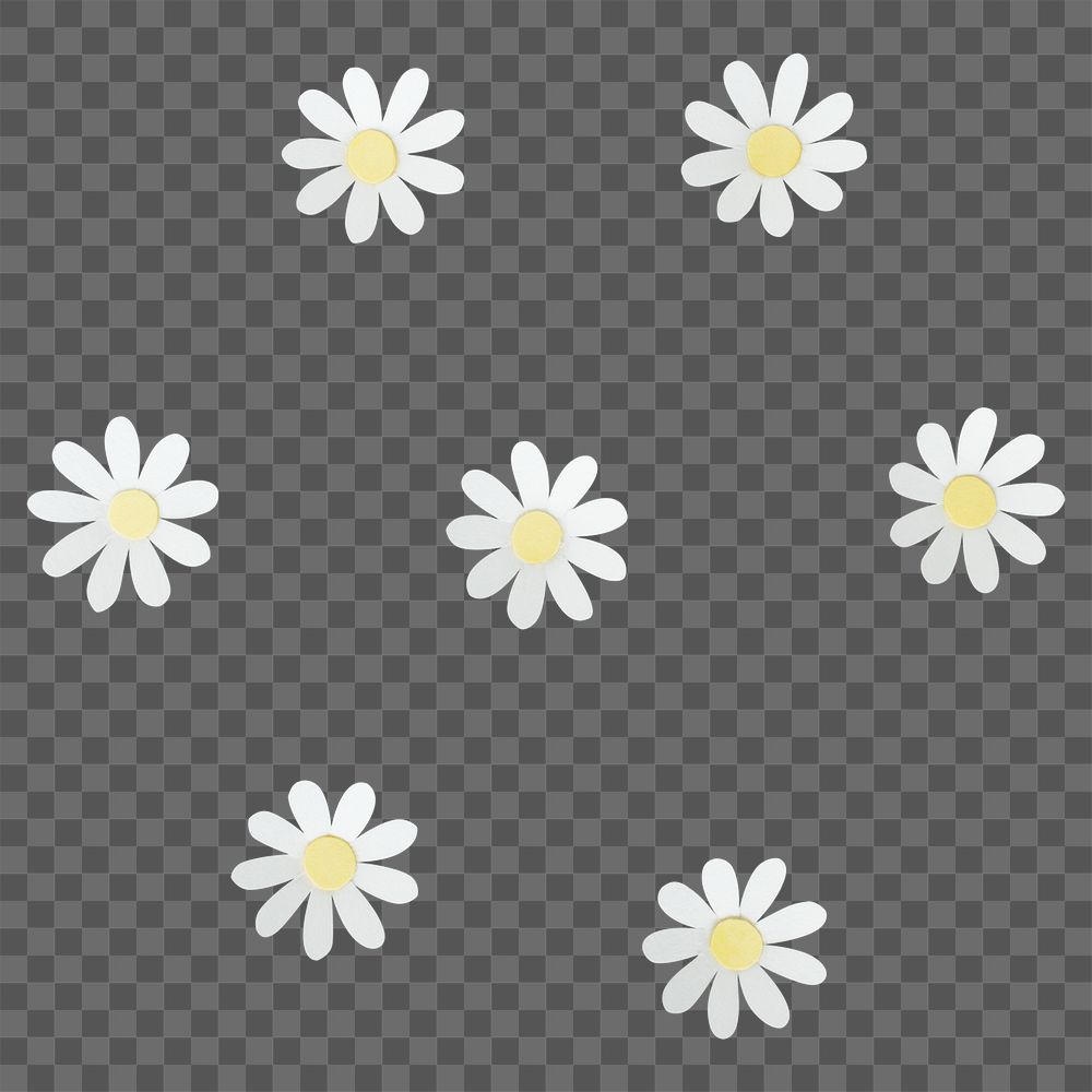 Daisy flower 3D papercraft png pattern