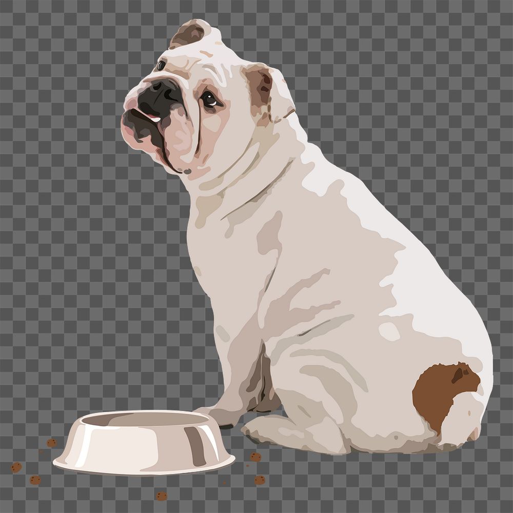 Hungry English Bulldog png sticker, transparent background