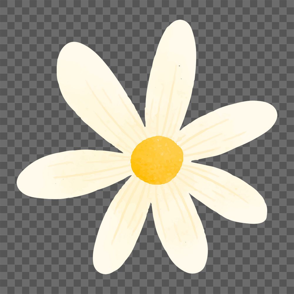 White daisy  png sticker, cute flower clipart