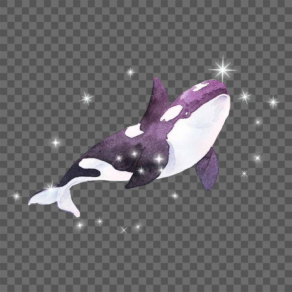 Aesthetic whale png sticker, beautiful orca design on transparent background