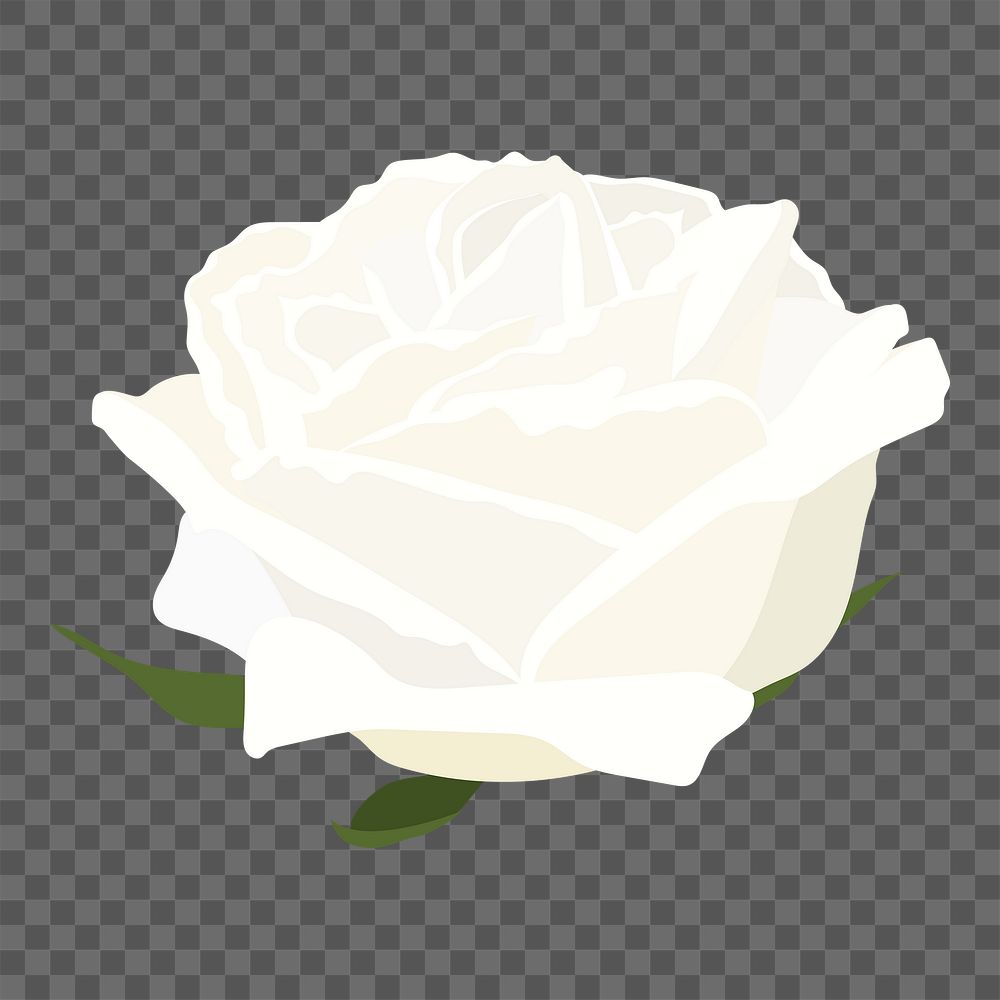 Realistic rose png sticker, white flower illustration