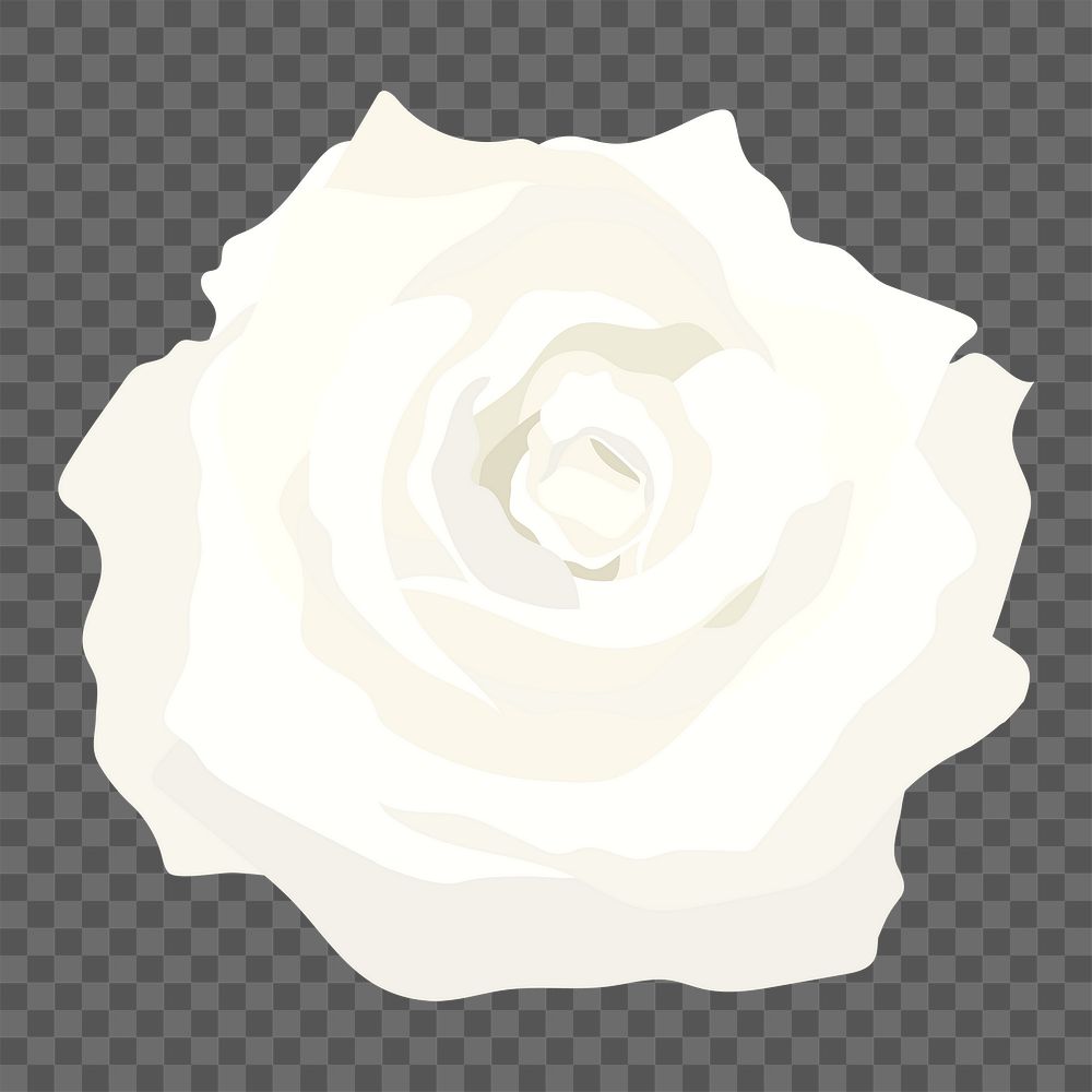 Realistic rose png sticker, white flower illustration