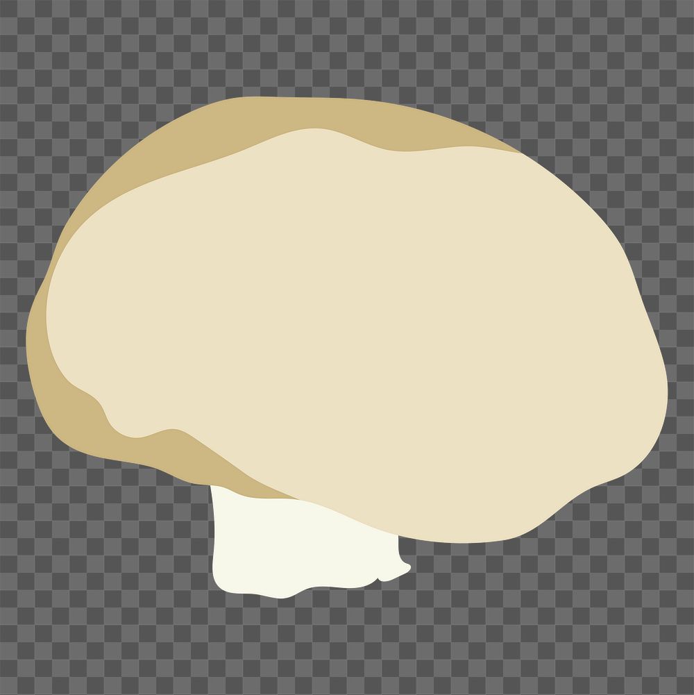 Mushroom png sticker, realistic illustration, transparent background