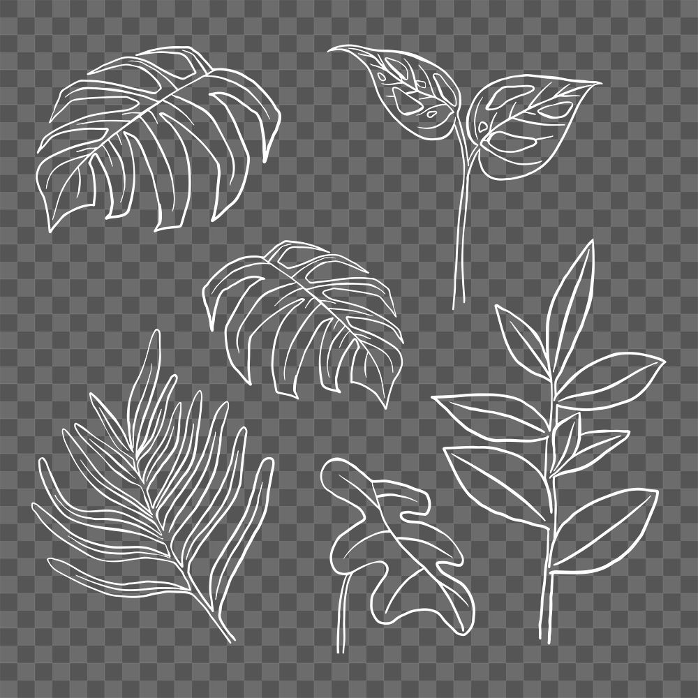 PNG tropical leaf sticker doodle botanical illustration set