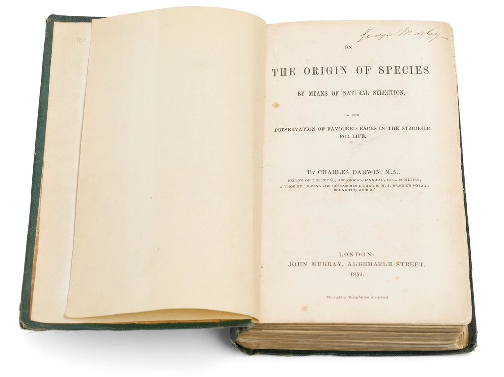 On the Origin of Species – Charles Darwin (image credits: rawpixel)