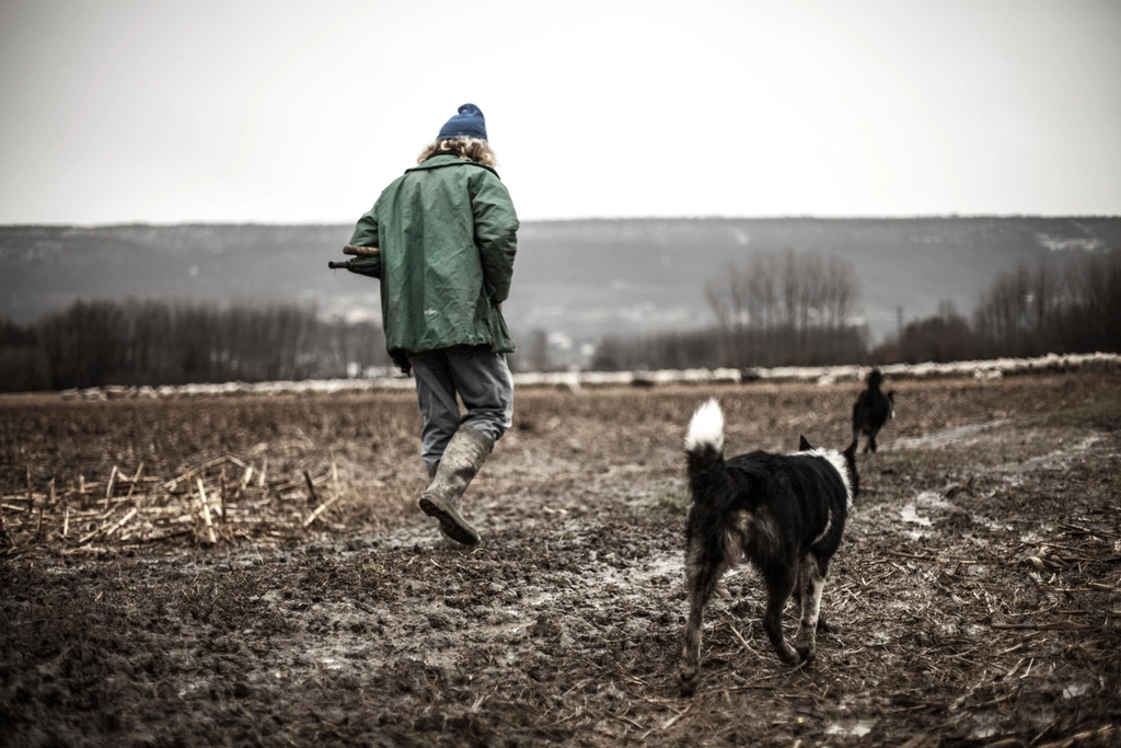 2. Encouraging Physical Activity (image credits: rawpixel)