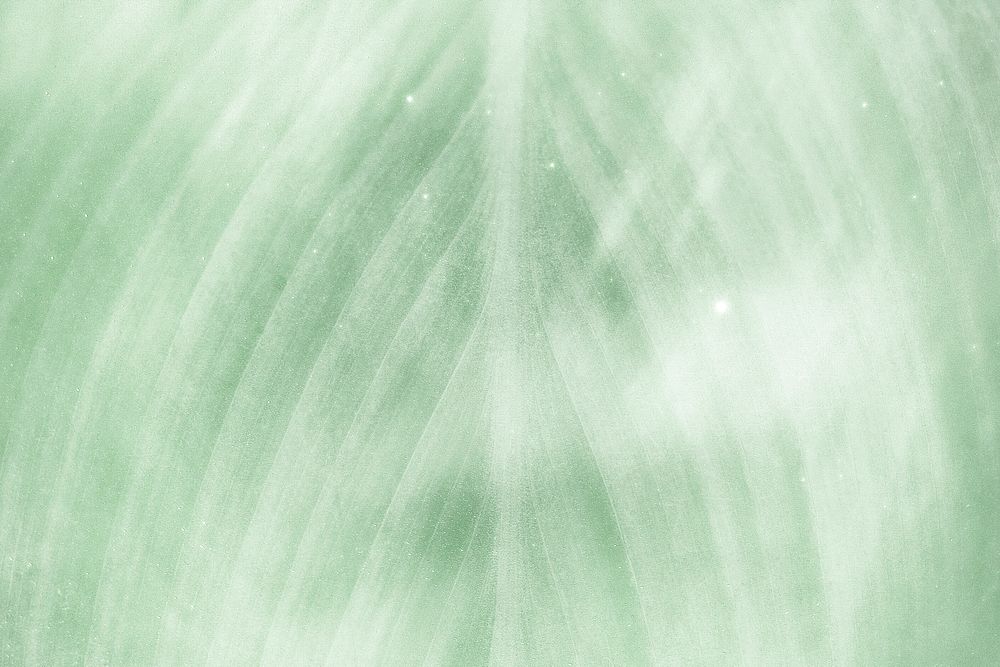Green leaf pattern textured backdrop | Premium Photo - rawpixel