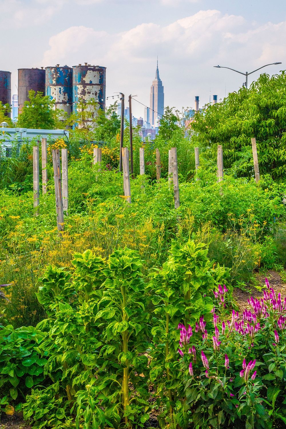 North Brooklyn Farm NBF Across The River Free Photo Rawpixel   CHJpdmF0ZS9sci9pbWFnZXMvd2Vic2l0ZS8yMDIyLTA2L2Zsd2tnb3YxMDA4MS5qcGc 